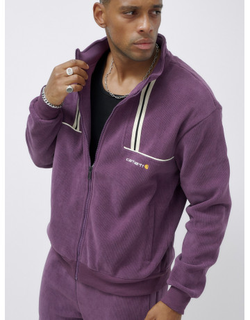 Мужской демисезонный спортивный костюм на флисе, фиолетовый, для спорта. в Тюмени