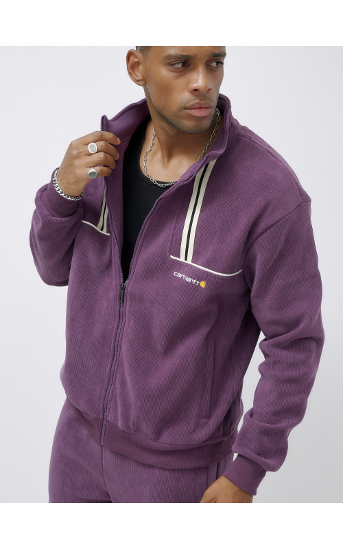 Мужской демисезонный спортивный костюм на флисе, фиолетовый, для спорта. в Тюмени