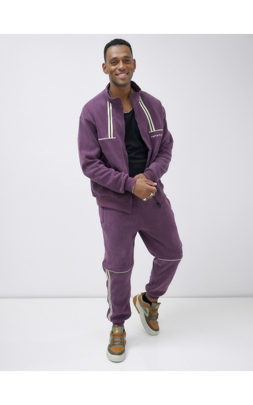 Мужской демисезонный спортивный костюм на флисе, фиолетовый, для спорта. в Тюмени