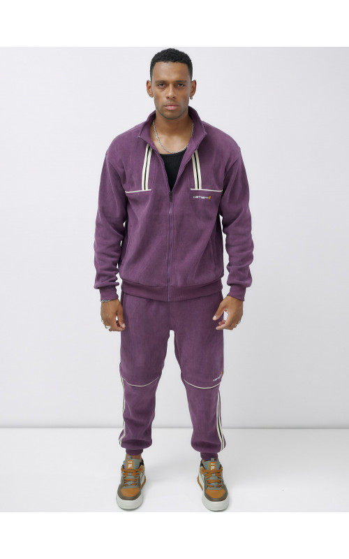 Мужской демисезонный спортивный костюм на флисе, фиолетовый, для спорта. в Тюмени