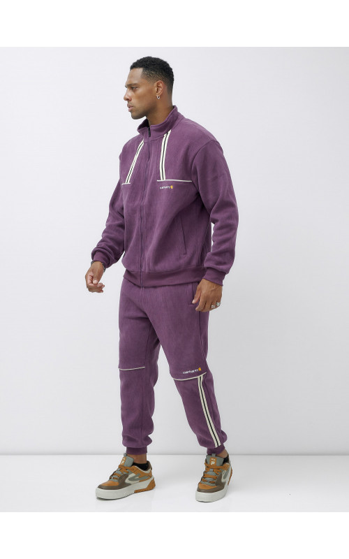 Мужской демисезонный спортивный костюм на флисе, фиолетовый, для спорта. в Тюмени