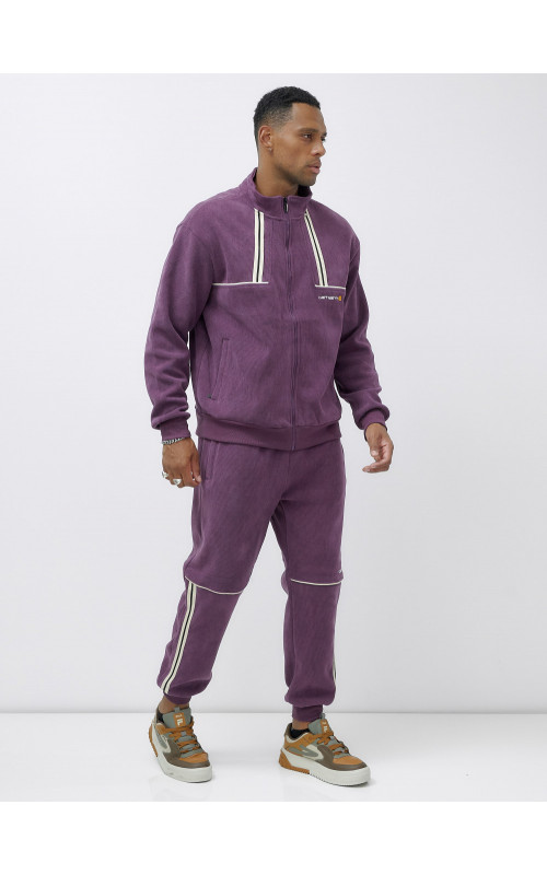 Мужской демисезонный спортивный костюм на флисе, фиолетовый, для спорта. в Тюмени