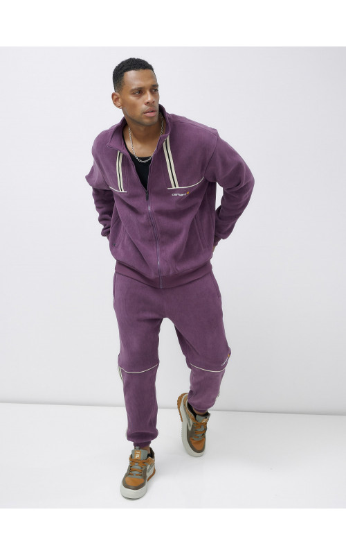 Мужской демисезонный спортивный костюм на флисе, фиолетовый, для спорта. в Тюмени