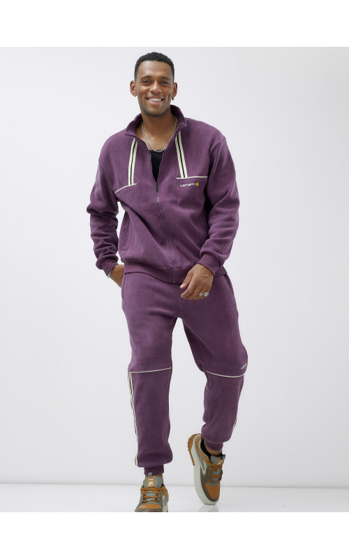 Мужской демисезонный спортивный костюм на флисе, фиолетовый, для спорта. в Тюмени