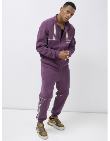 Мужской демисезонный спортивный костюм на флисе, фиолетовый, для спорта. в Тюмени