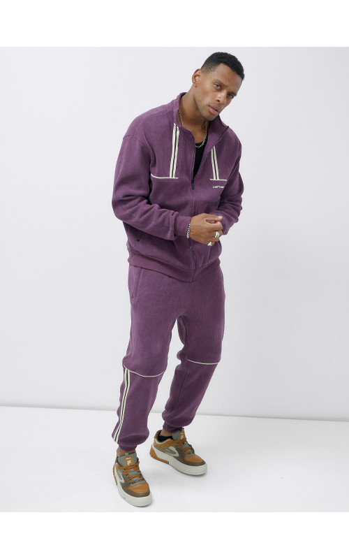 Мужской демисезонный спортивный костюм на флисе, фиолетовый, для спорта. в Тюмени