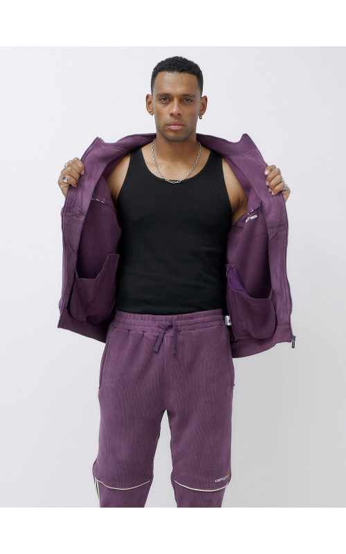 Мужской демисезонный спортивный костюм на флисе, фиолетовый, для спорта. в Тюмени