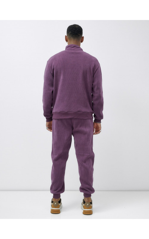 Мужской демисезонный спортивный костюм на флисе, фиолетовый, для спорта. в Тюмени